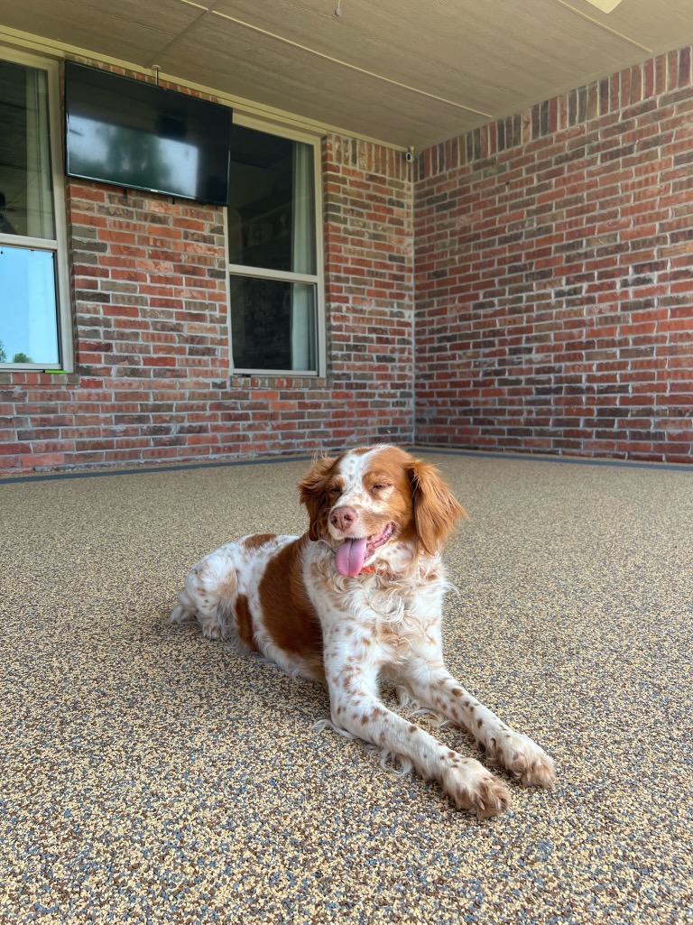 Photo May 29 2022, 11 32 29 AM